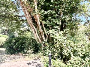 Gardens- click for photo gallery